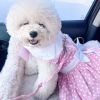 Polka Dot and Lace Dog Dress Set with Leash